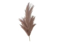 Pampas tráva fialová 77cm